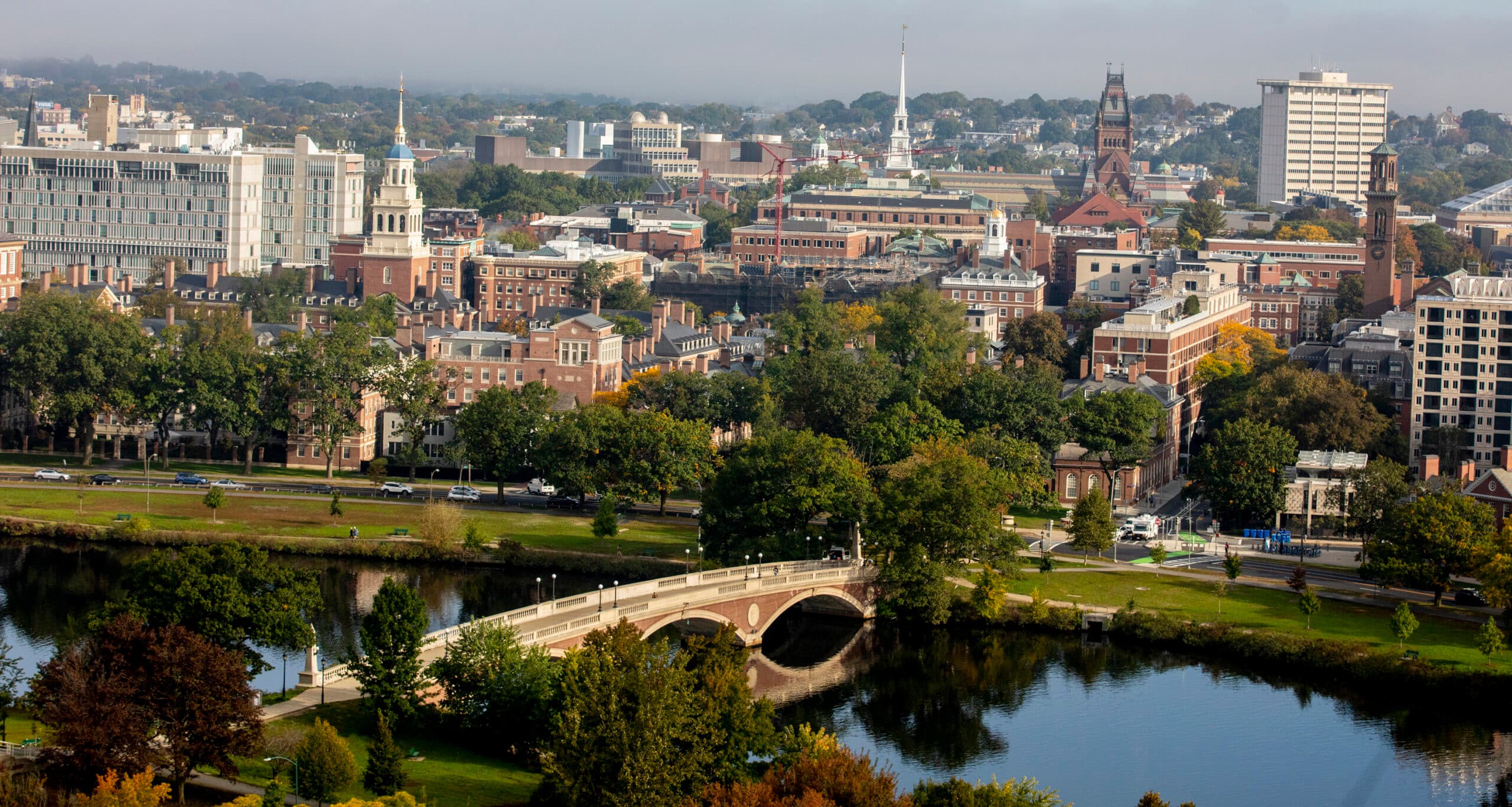 Navigating College Admissions: Turning a Deferral into an Opportunity